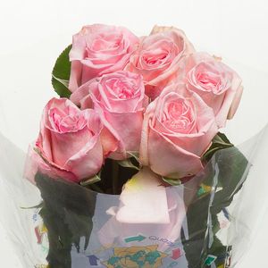 ROSE GAR PINK OHARA 40